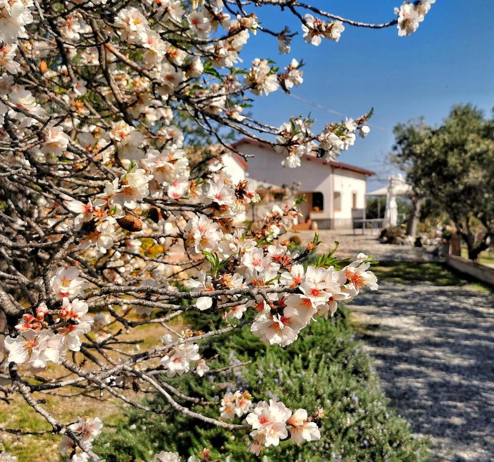 Borgo Santa Lucia Villa Cropani Ngoại thất bức ảnh